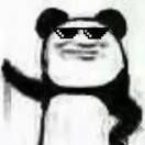 开朗的网友(狗哥)