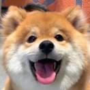 涵
