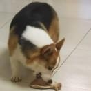 杰克