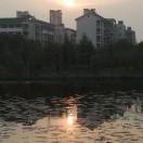 平