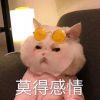 某种盐渍碳基水生生物