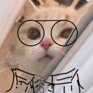 一颗波板糖