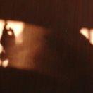 来时余欢海棠梦