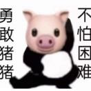 有盐值的咸鱼