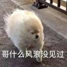 清山