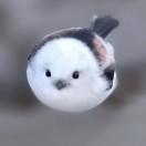 真拿她没办法