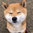 Nuy oaH