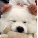 優ぃね