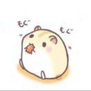 二十四小时