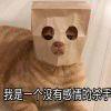 萨尔瓦德