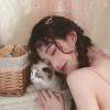 猫猫。