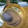 熊二
