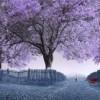 Melancholy