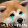 三无少年（过期产品）