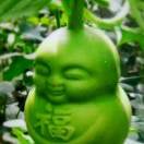 果果