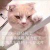 秋要清醒