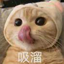 猫头