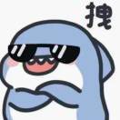 海边溜达的鲨鱼