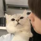 宁