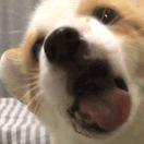 睡不醒