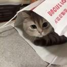 老王