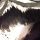 ff