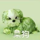 虫子