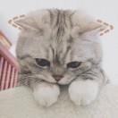 程程不会忘