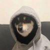 独