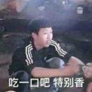 菜菜