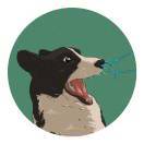 我将往事诉予清风