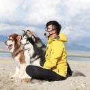 Alex丶Lee