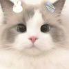 ꒦ິ^꒦ິ