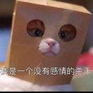 无敌超级暴龙战士