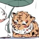 塔姆哥哥你在哪