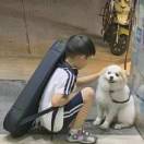 洛阳邻边的桃园