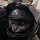 釓