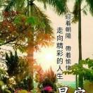 老虎