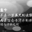 最近有神出没