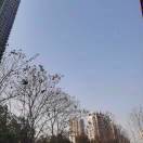 雷闪