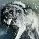 User419545297