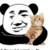 圣言术：静