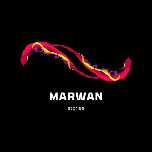 MARWAN stories