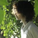 飏.