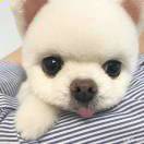 岁月是一场有去无回的旅行