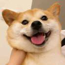 桑水
