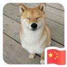白给侠