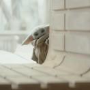 12.11半年不吃自助