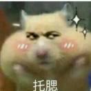 七飞飞