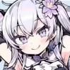冬雪莲小罕见